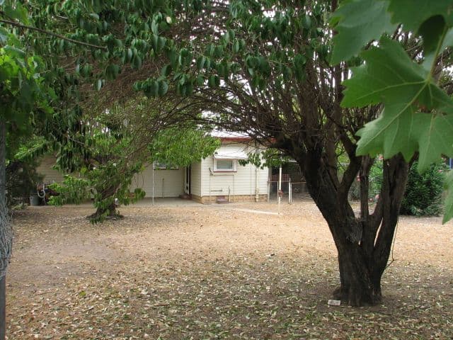 11 Jean Street, TAMWORTH NSW 2340, South Tamworth - Thumbnail 4