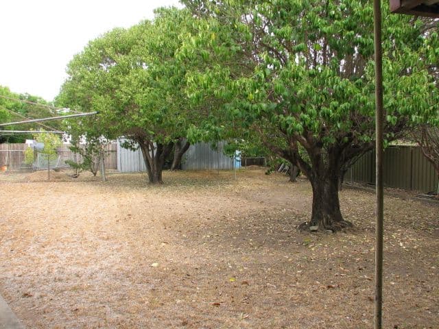 11 Jean Street, TAMWORTH NSW 2340, South Tamworth - Thumbnail 5