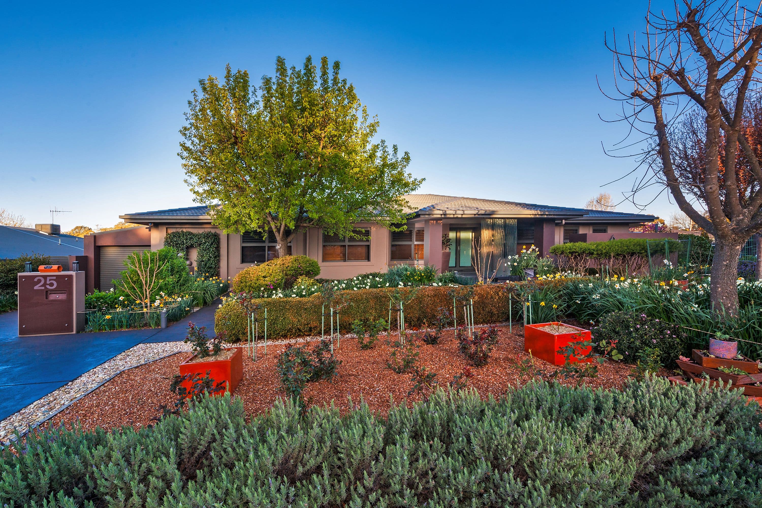 25 Darmody Street, Weetangera ACT 2614, Weetangera - Image 1