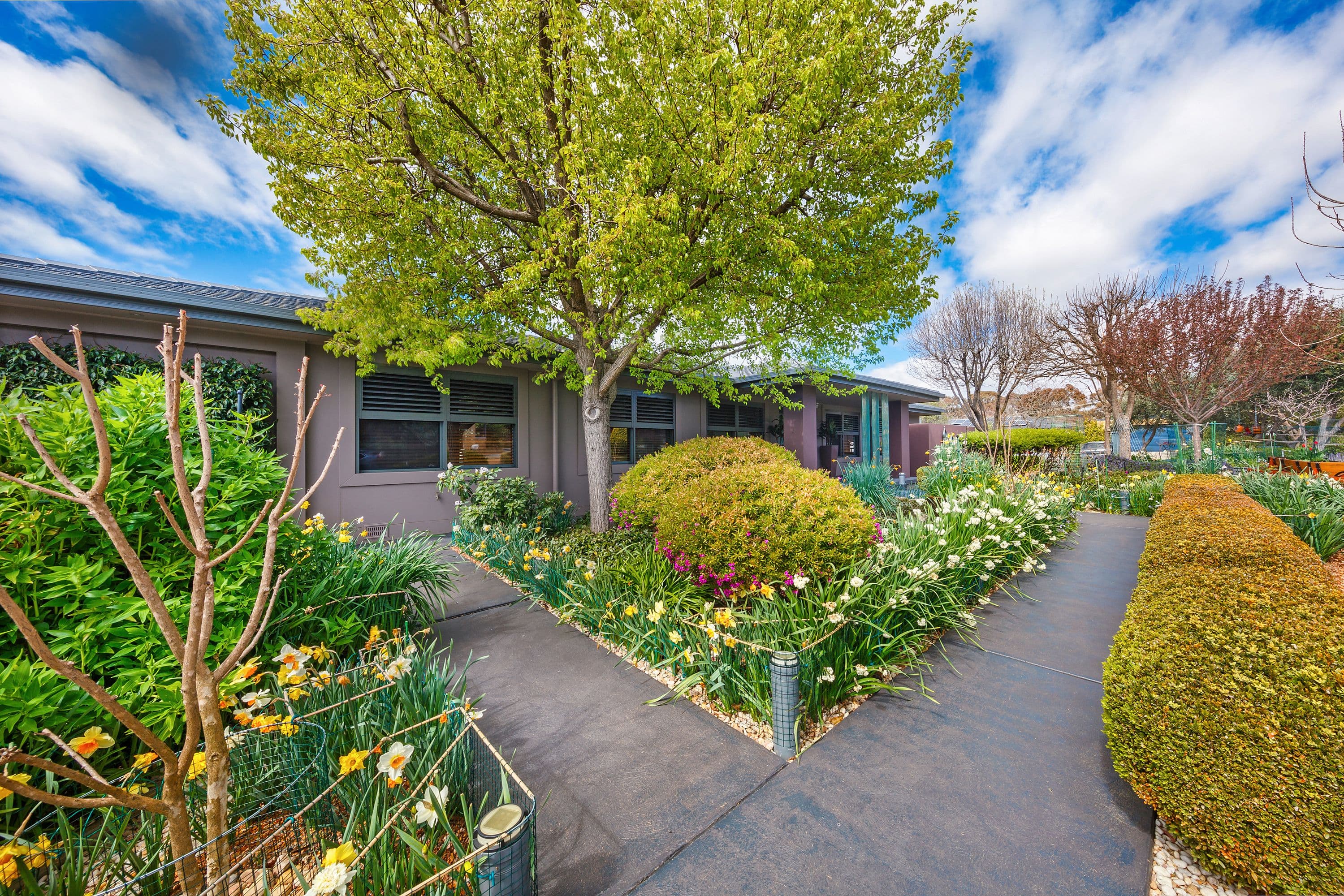 25 Darmody Street, Weetangera ACT 2614, Weetangera - Thumbnail 2