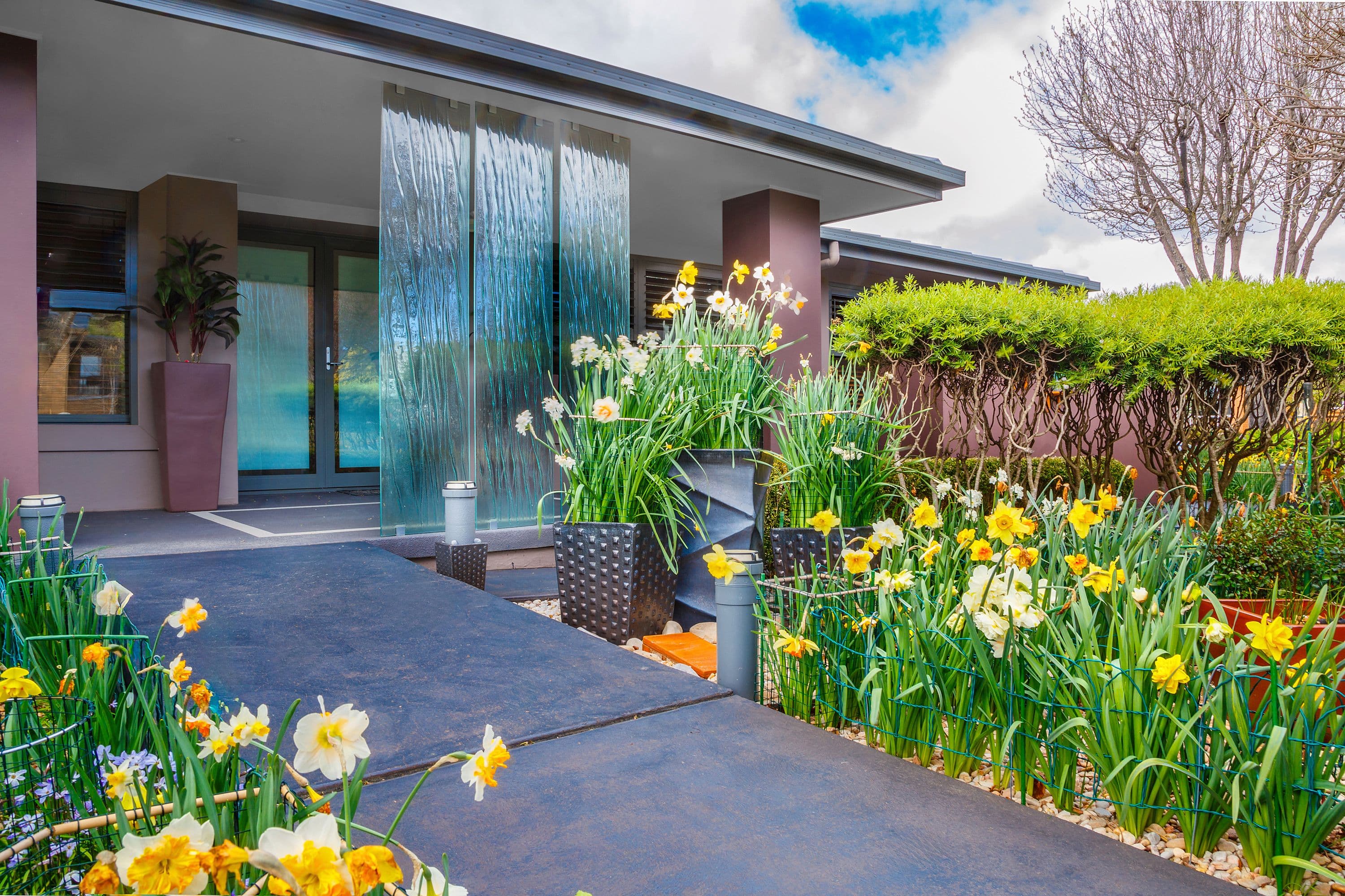 25 Darmody Street, Weetangera ACT 2614, Weetangera - Thumbnail 3
