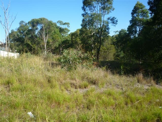3 Bulwarra Place, BOLTON POINT NSW 2283, Bolton Point - Thumbnail 2
