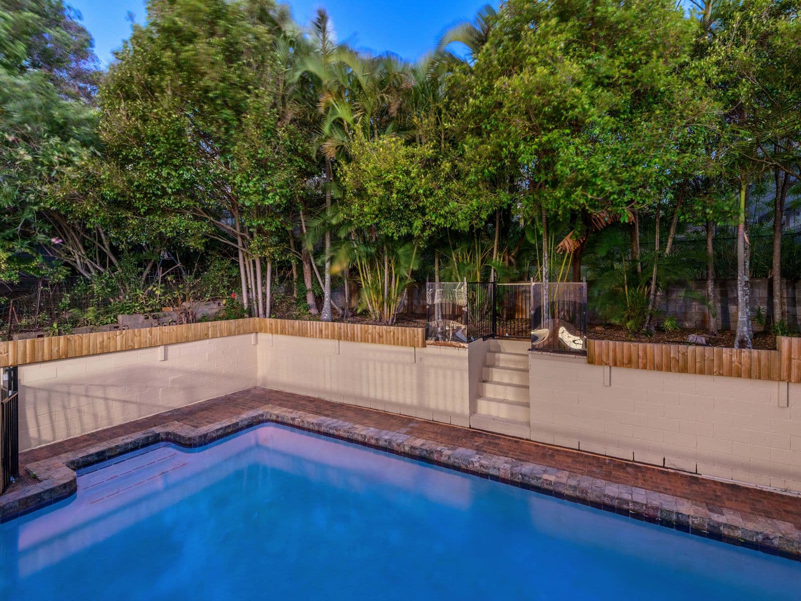 25 Dagmar Street, Holland Park West QLD 4121, Holland Park West - Thumbnail 5