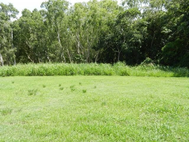 12 Livistonia Street, ANDERGROVE QLD 4740, Andergrove - Thumbnail 6