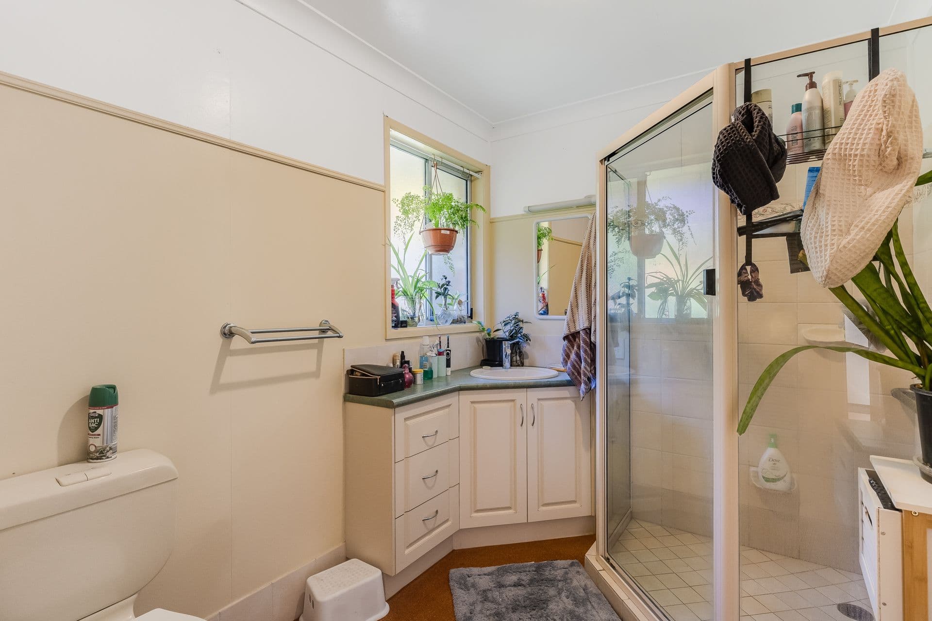 7 Margot Court, Harlaxton QLD 4350, Harlaxton - Thumbnail 8