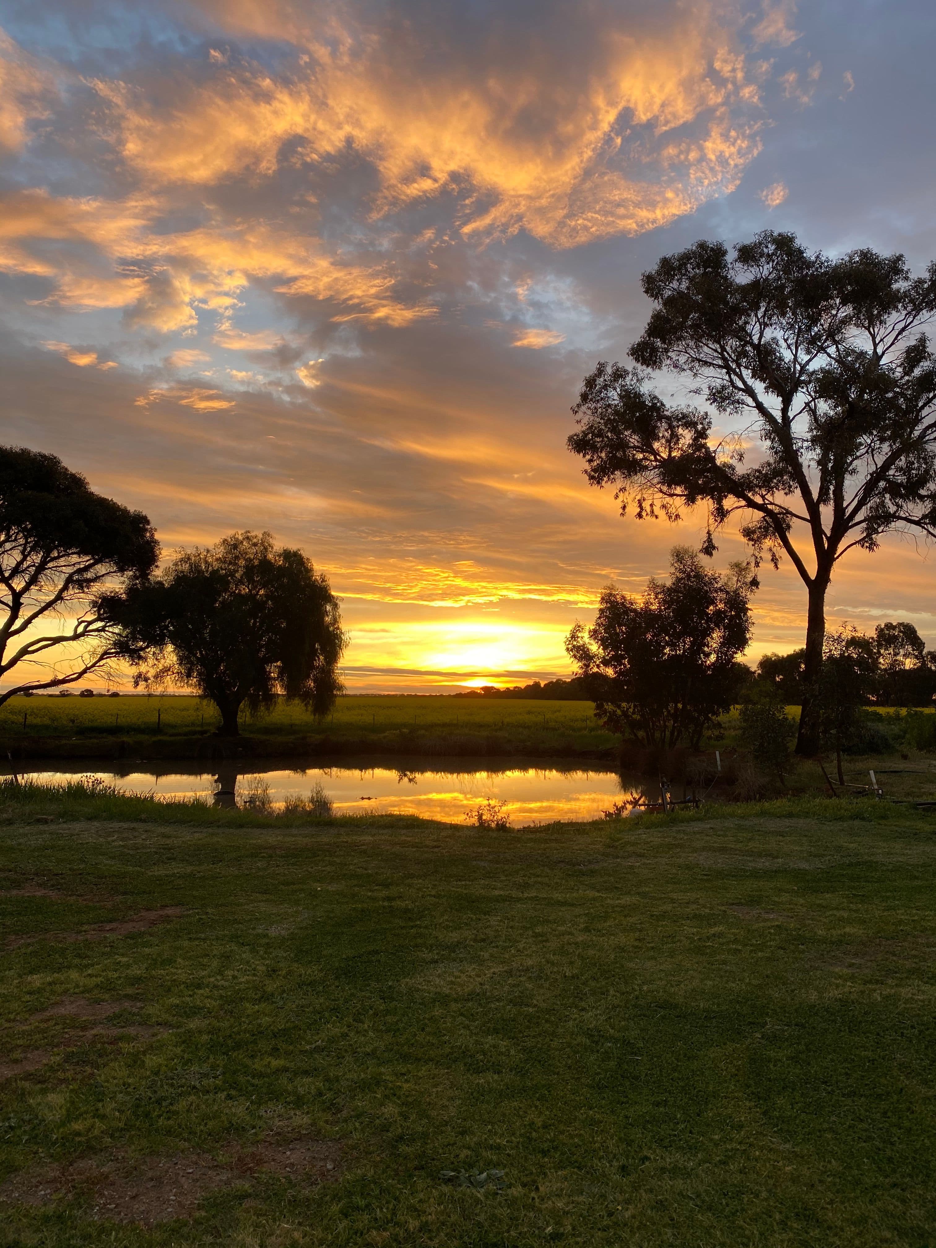 341 Mt Terrick Road, Echuca VIC 3564, Echuca West - Image 1