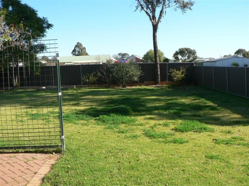 99 Websdale Drive, DUBBO NSW 2830, Dubbo - Thumbnail 5