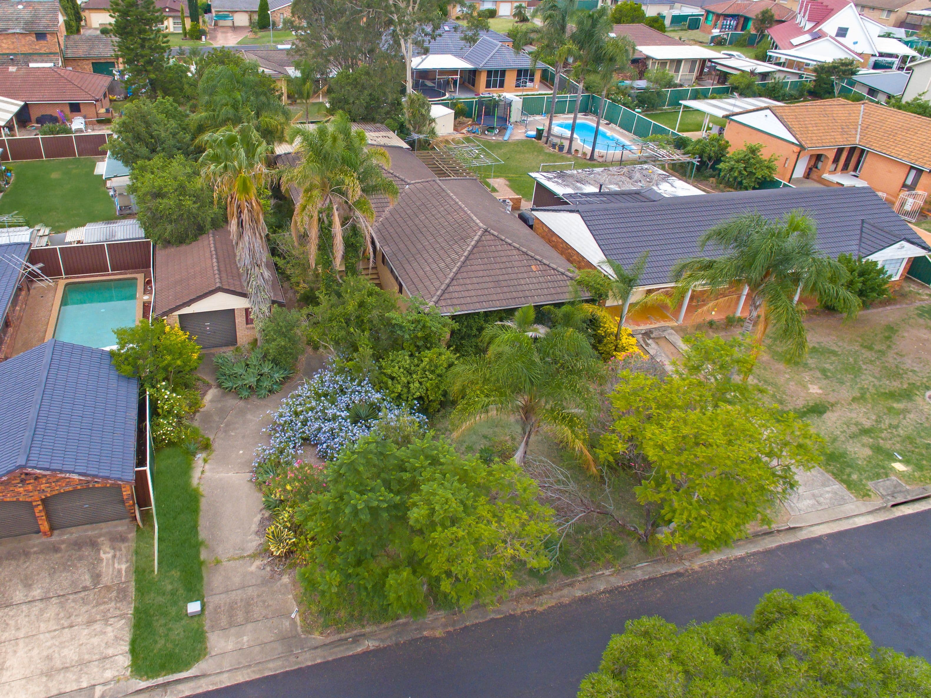 2 Falcon Place, Ingleburn - Thumbnail 3