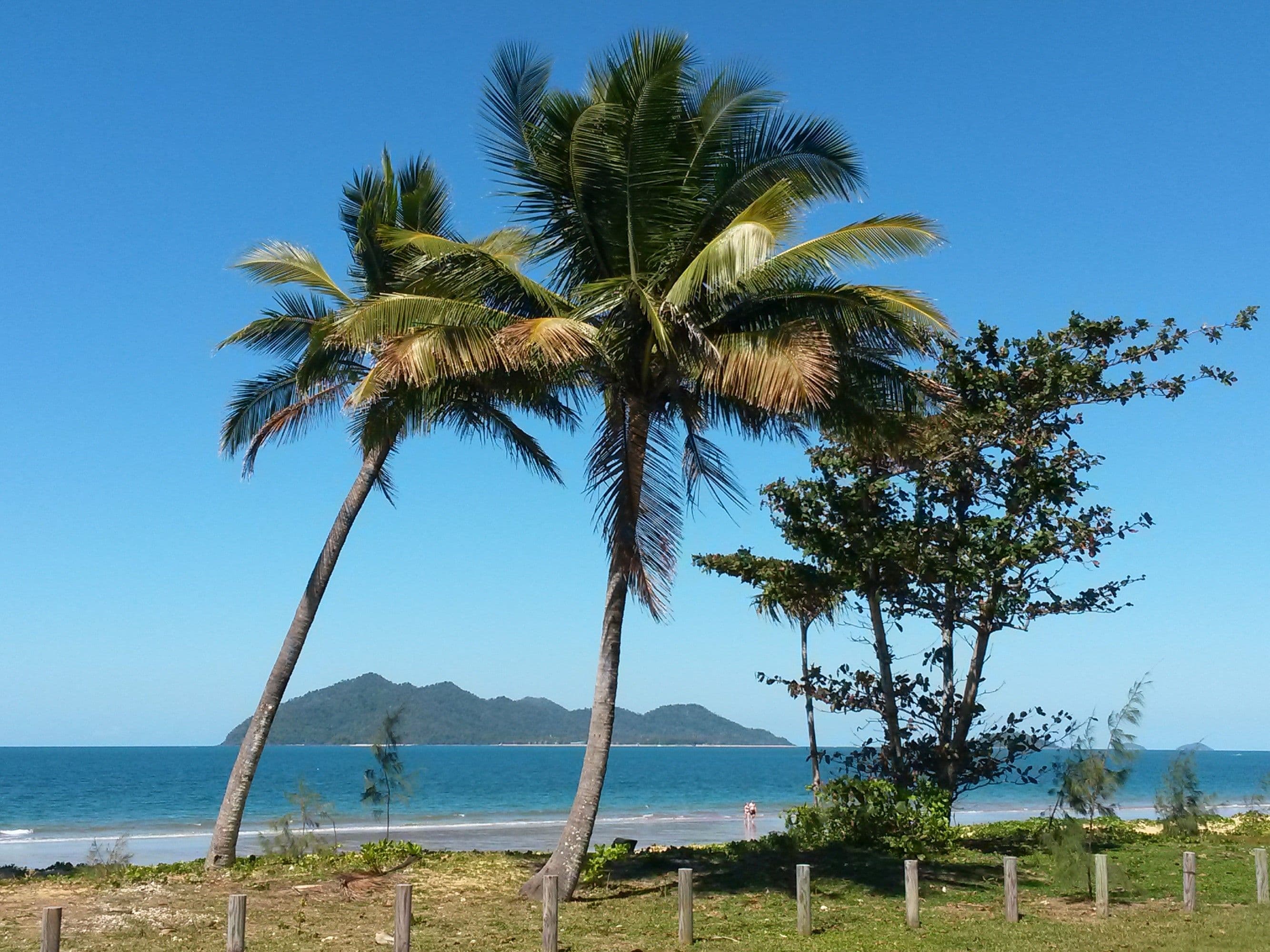 22 Wongaling Beach Road, Mission Beach QLD 4852, Mission Beach - Thumbnail 4
