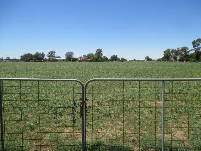 Lot 3 Carinda Road, Coonamble NSW 2829, Coonamble - Thumbnail 2