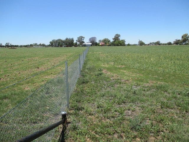 Lot 3 Carinda Road, Coonamble NSW 2829, Coonamble - Thumbnail 3