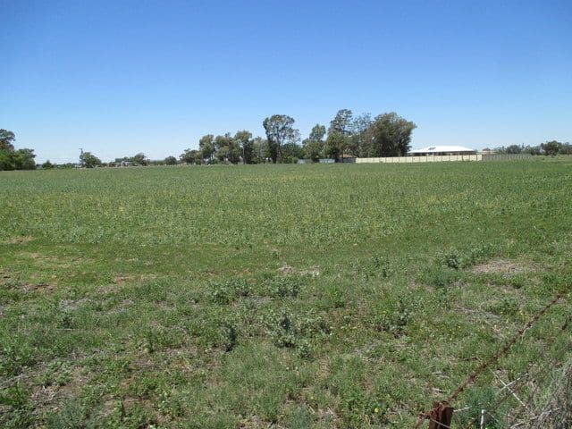 Lot 3 Carinda Road, Coonamble NSW 2829, Coonamble - Thumbnail 6