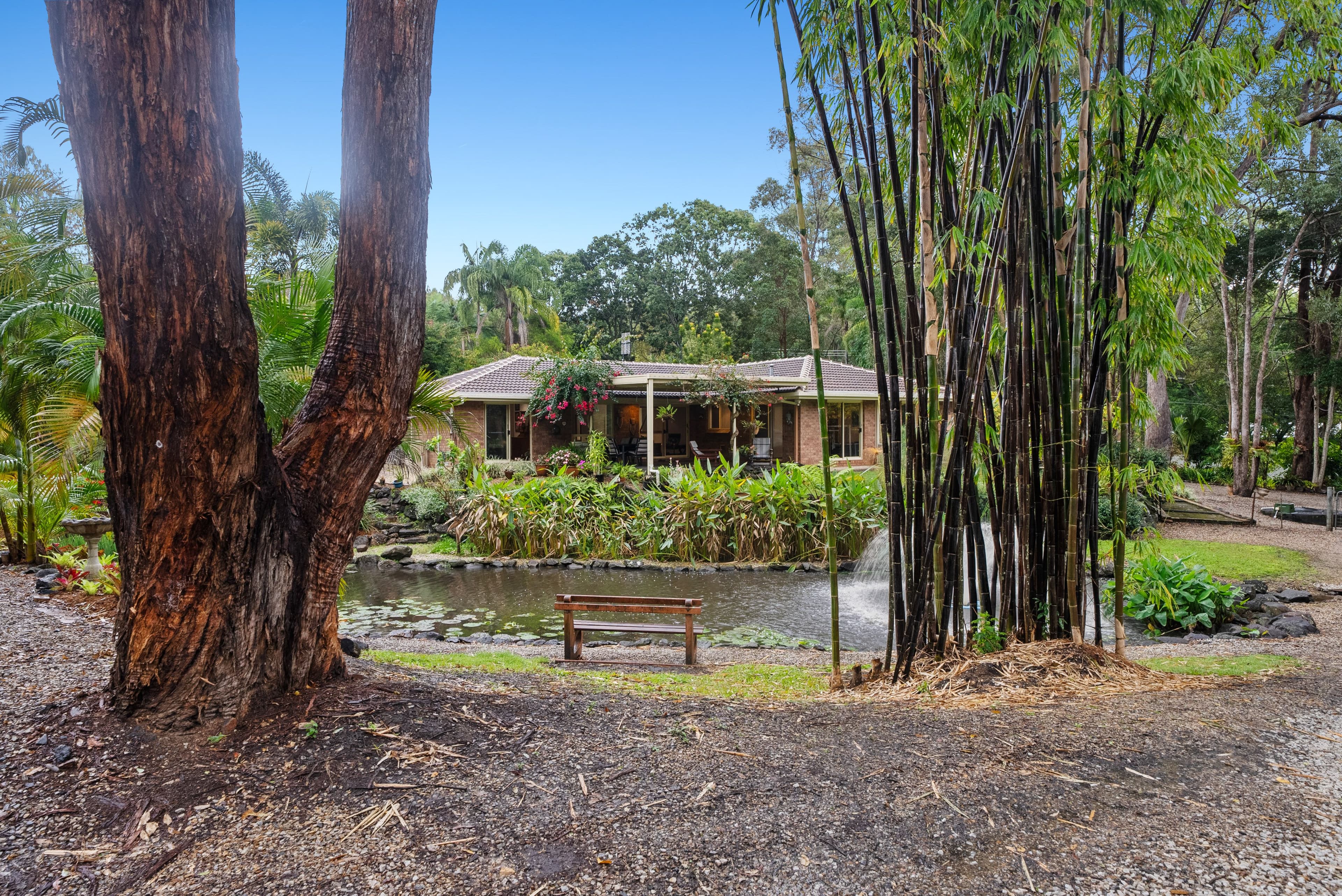 8 Evergreen Drive, Elanora QLD 4221, Elanora - Thumbnail 4