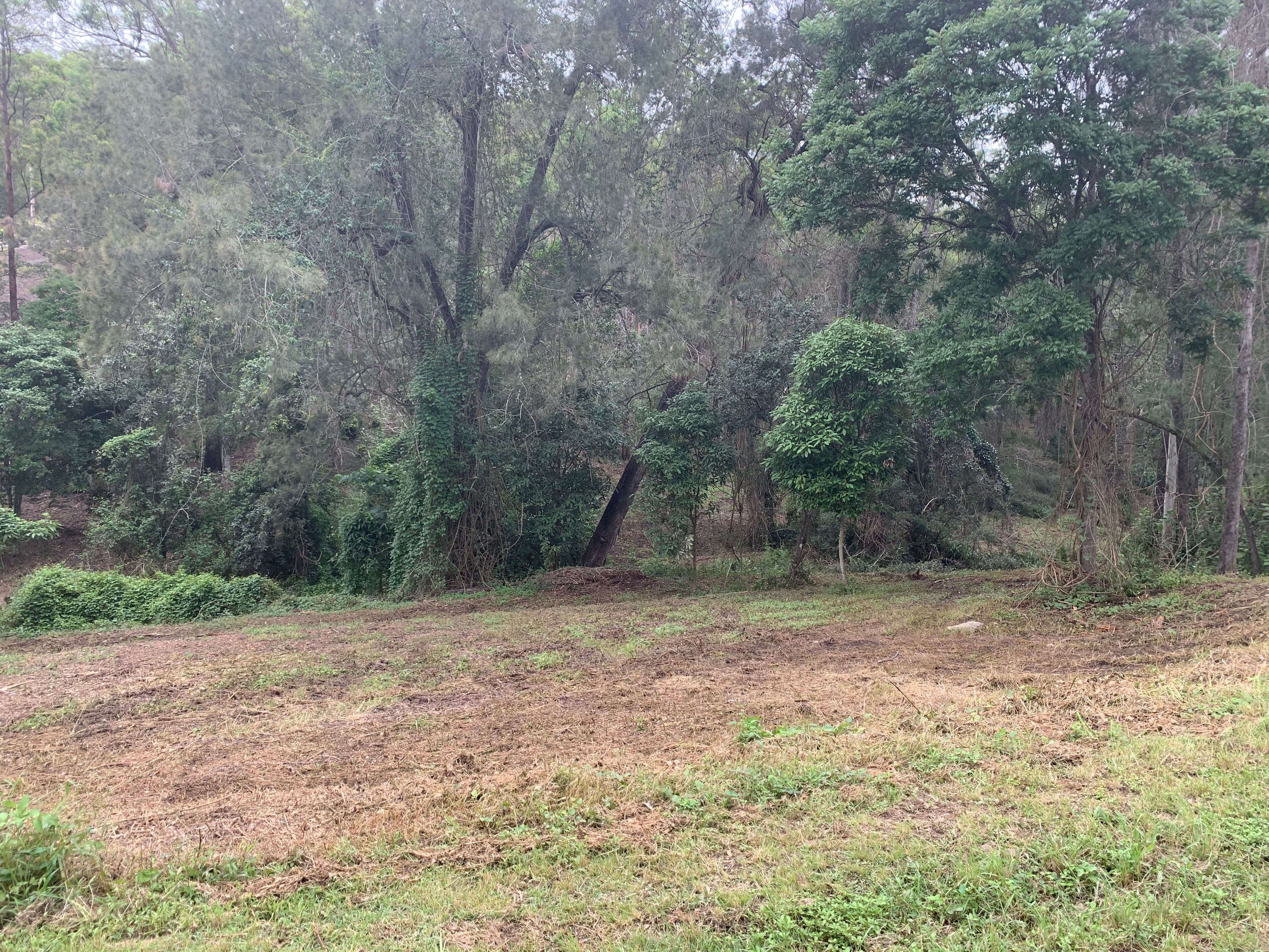 Laceys Creek QLD 4521, Laceys Creek - Thumbnail 3
