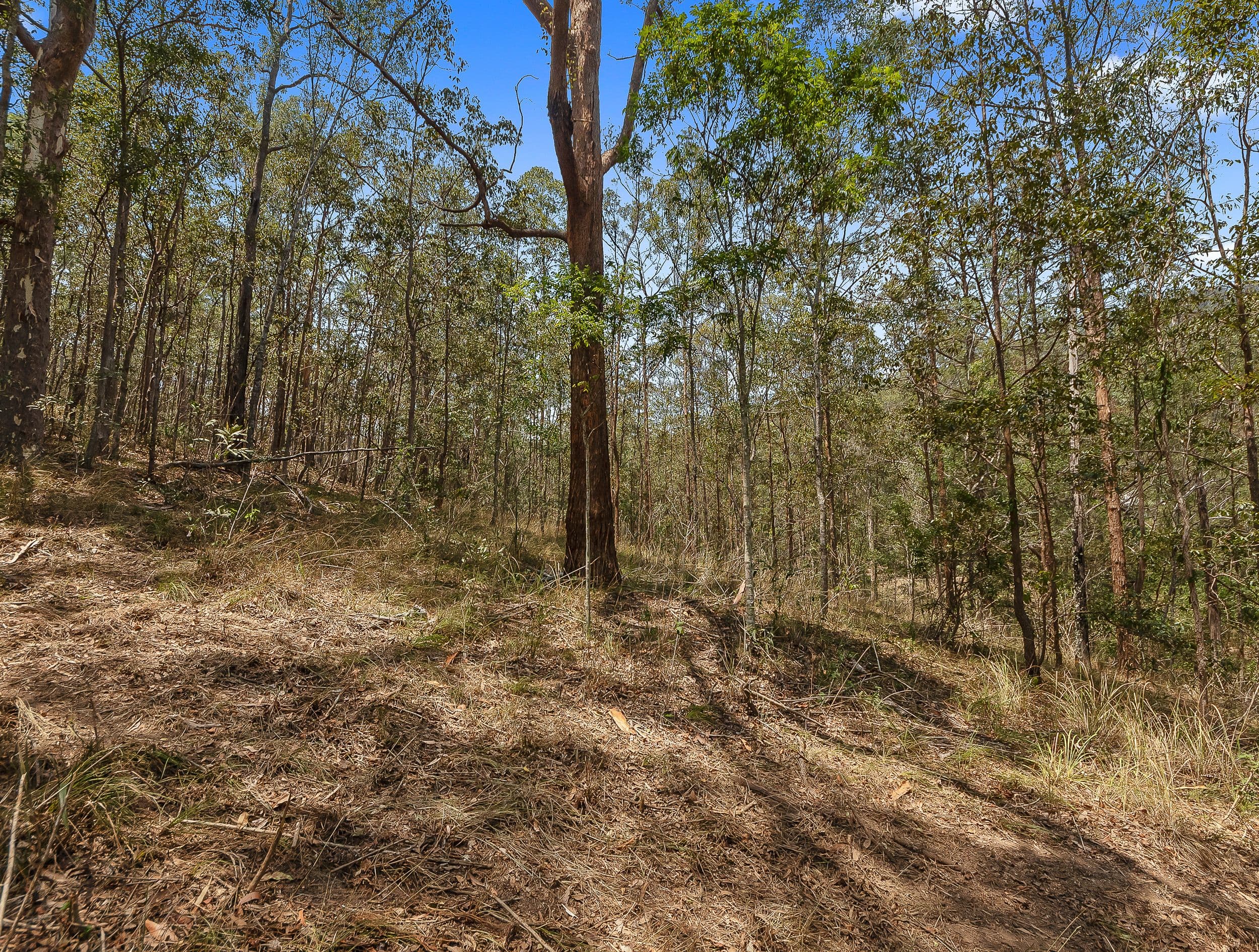 Laceys Creek QLD 4521, Laceys Creek - Thumbnail 6