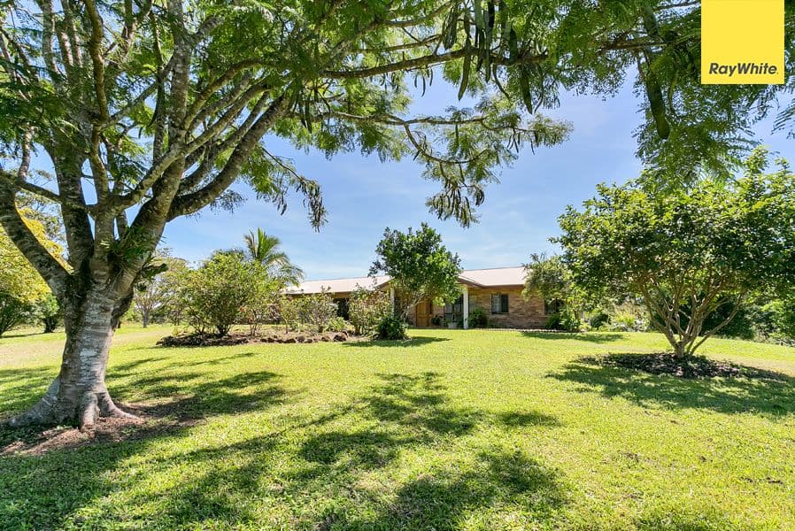132 Oak Forest Road, Kuranda QLD 4881, Kuranda - Image 1