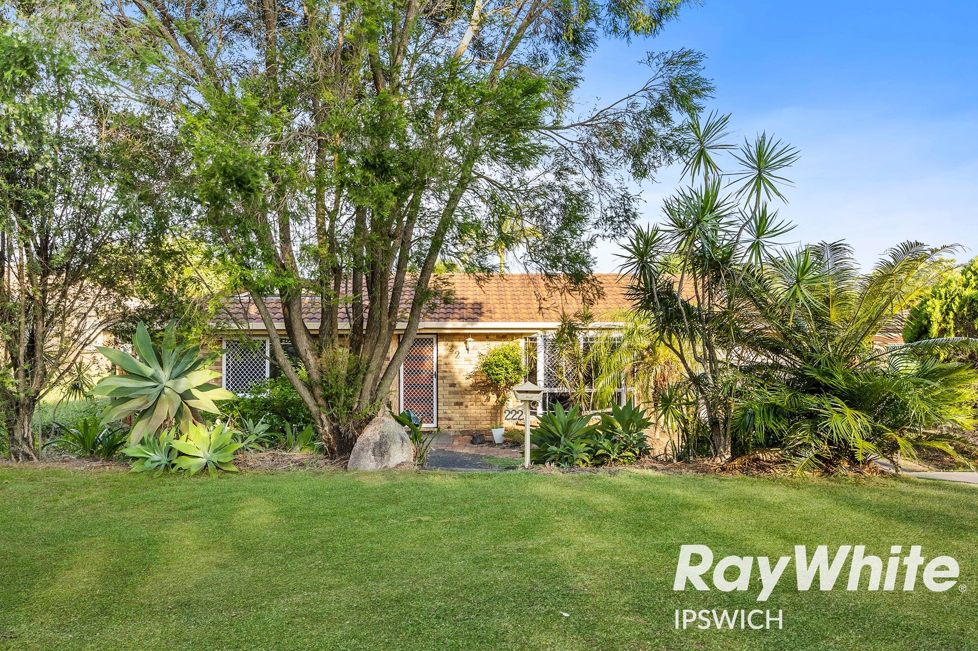 222 Wildey Street, Flinders View QLD 4305, Flinders View - Thumbnail 2