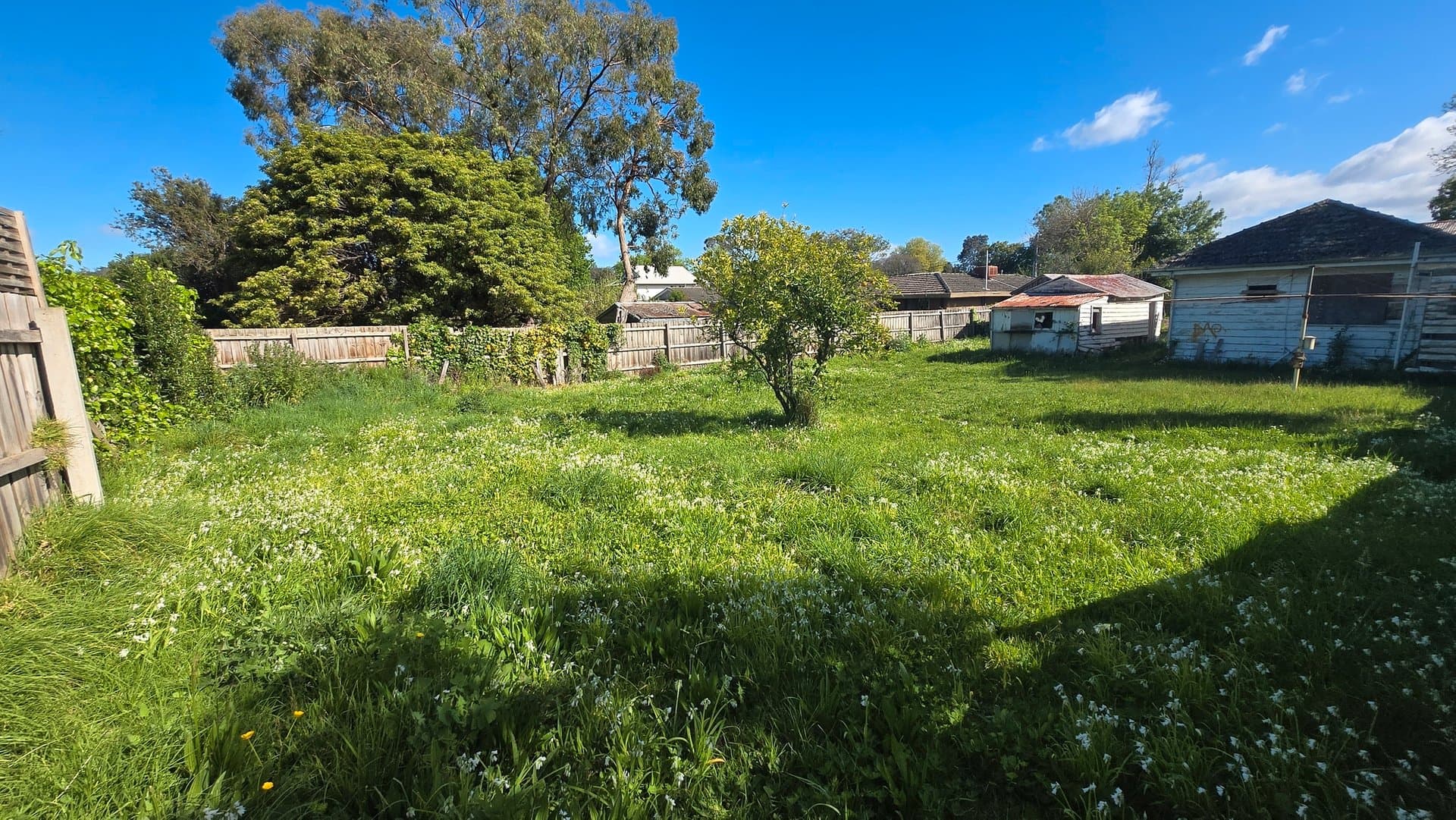21 Haig Street, Croydon - Thumbnail 2