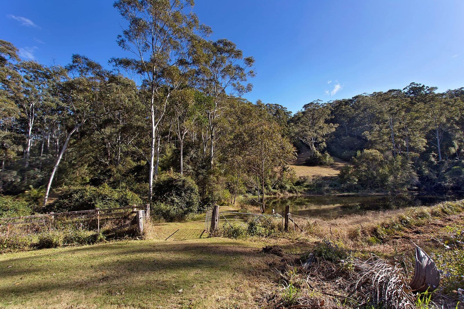 624 Coramba Road, Karangi - Thumbnail 3