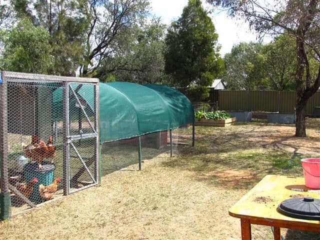 9 Arthur Street, ROMA QLD 4455, Roma - Thumbnail 4