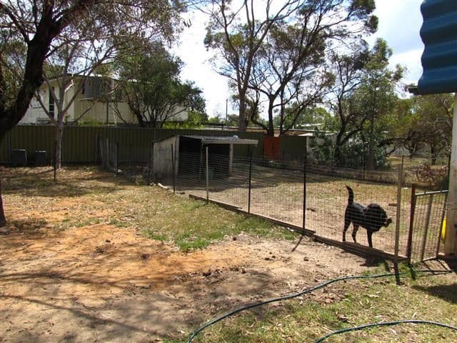 9 Arthur Street, ROMA QLD 4455, Roma - Thumbnail 5