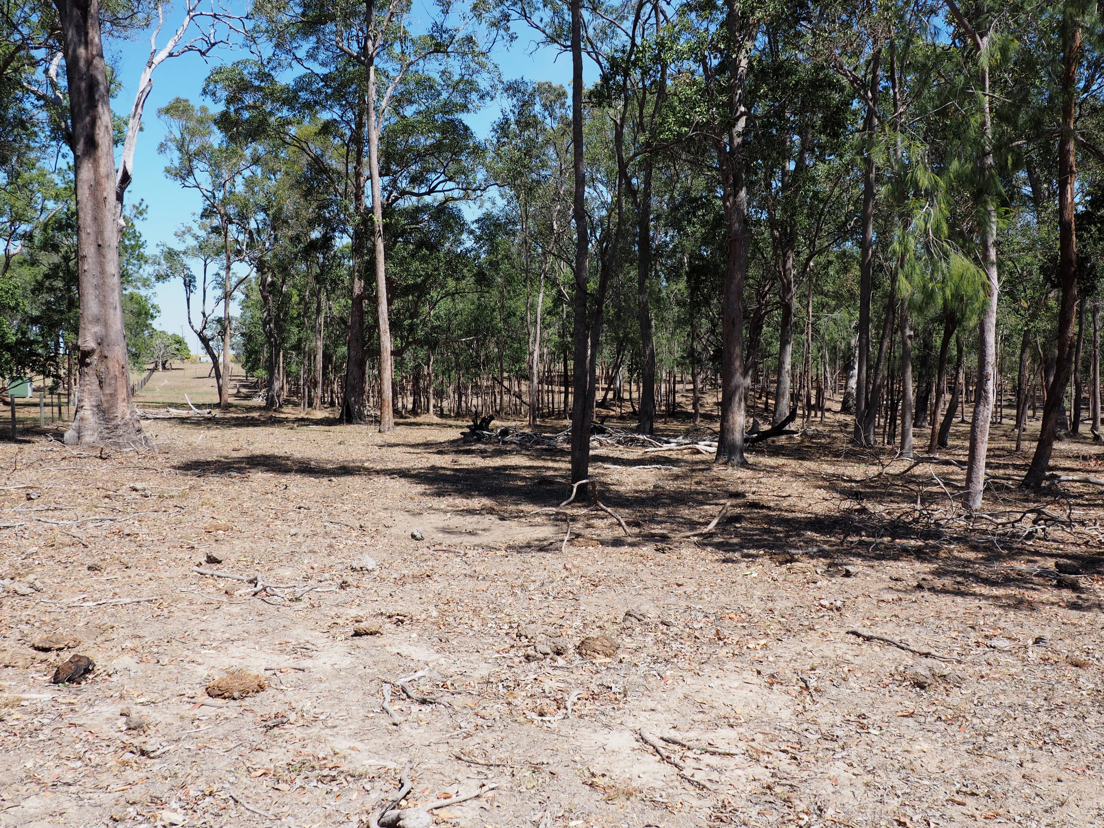 185 Philip Drive, Teddington QLD 4650, Teddington - Thumbnail 2