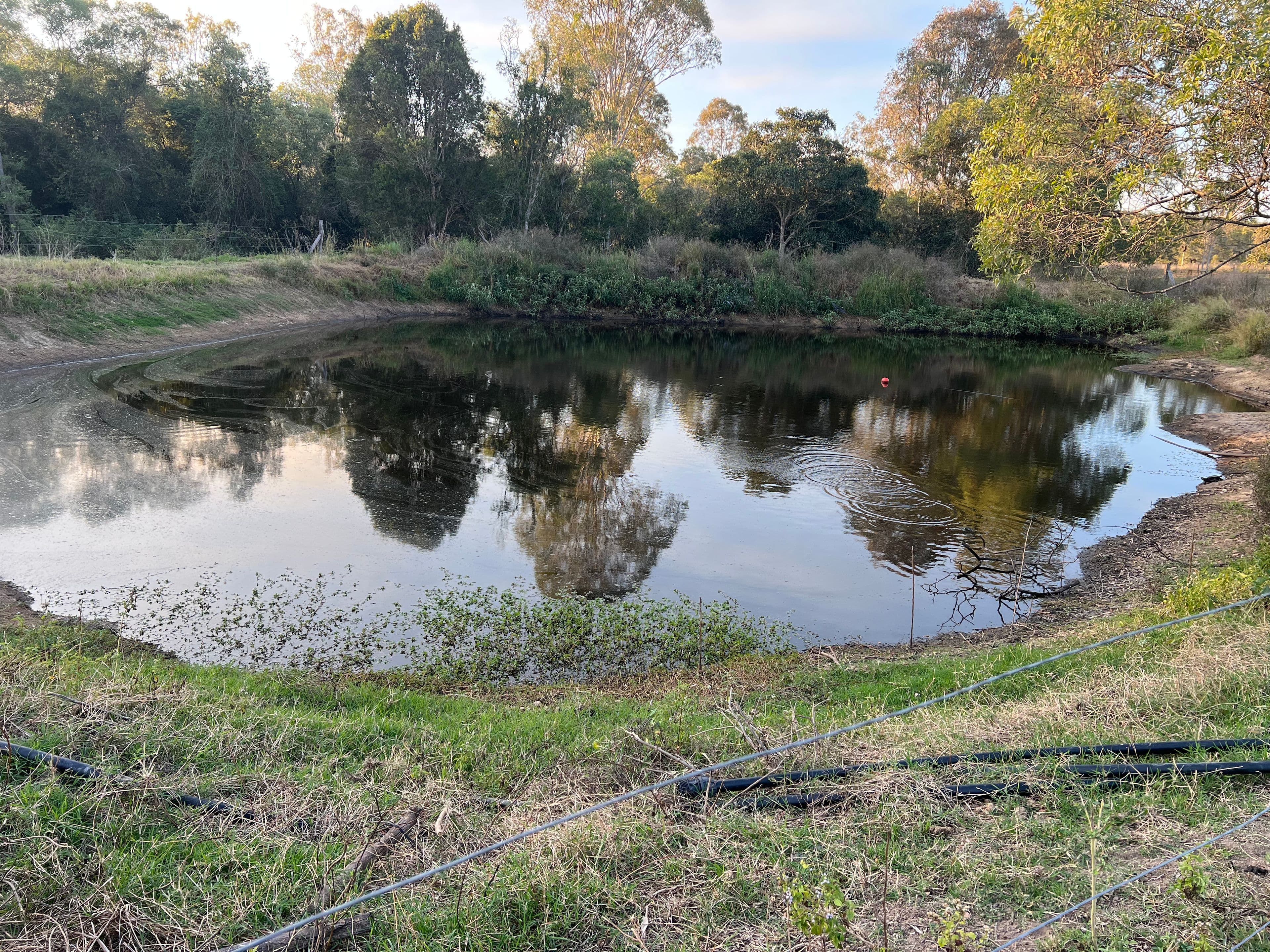 136 Dunford Road West, Grahams Creek QLD 4650, Grahams Creek - Thumbnail 7