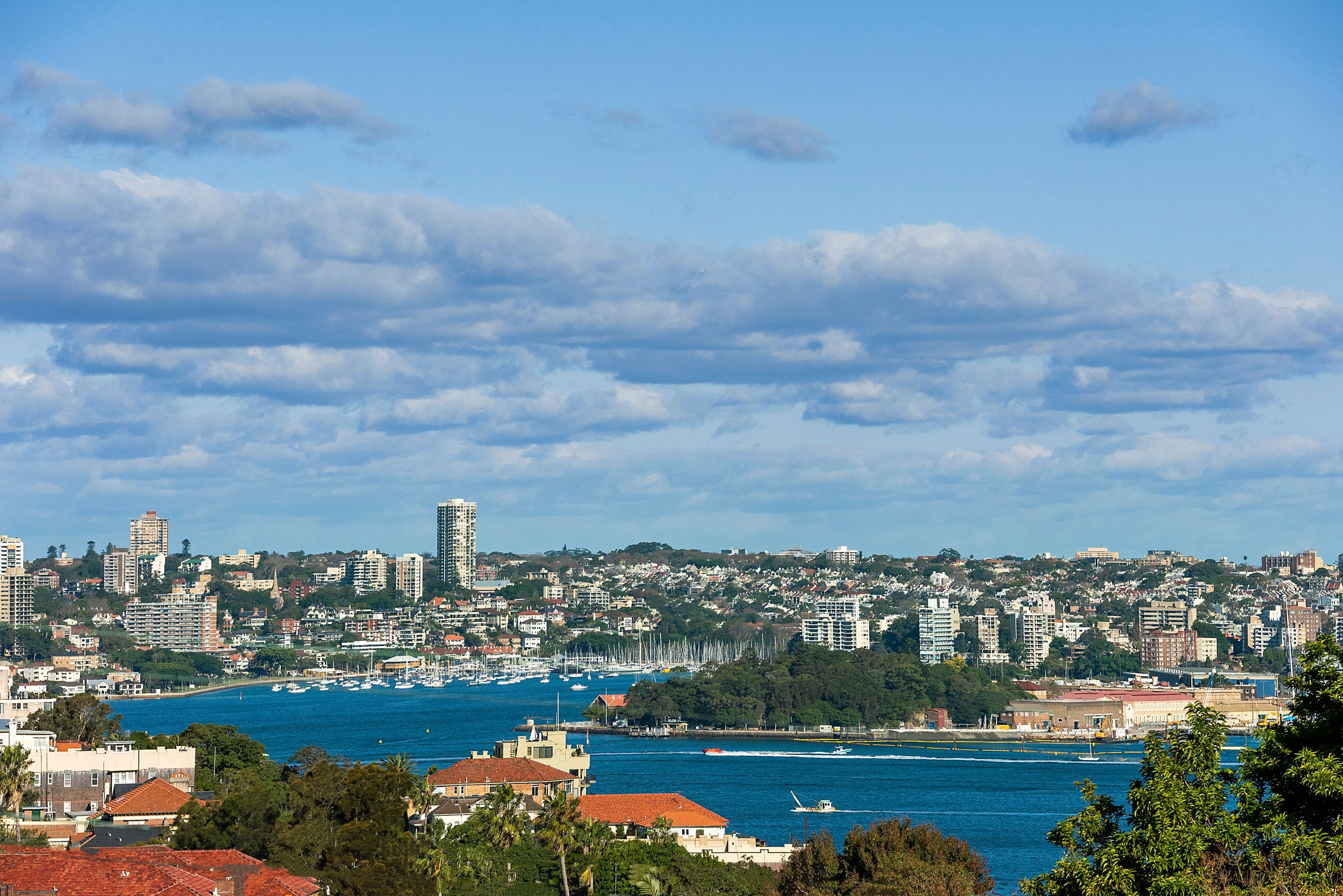 20 Bertha Road, Cremorne - Thumbnail 6