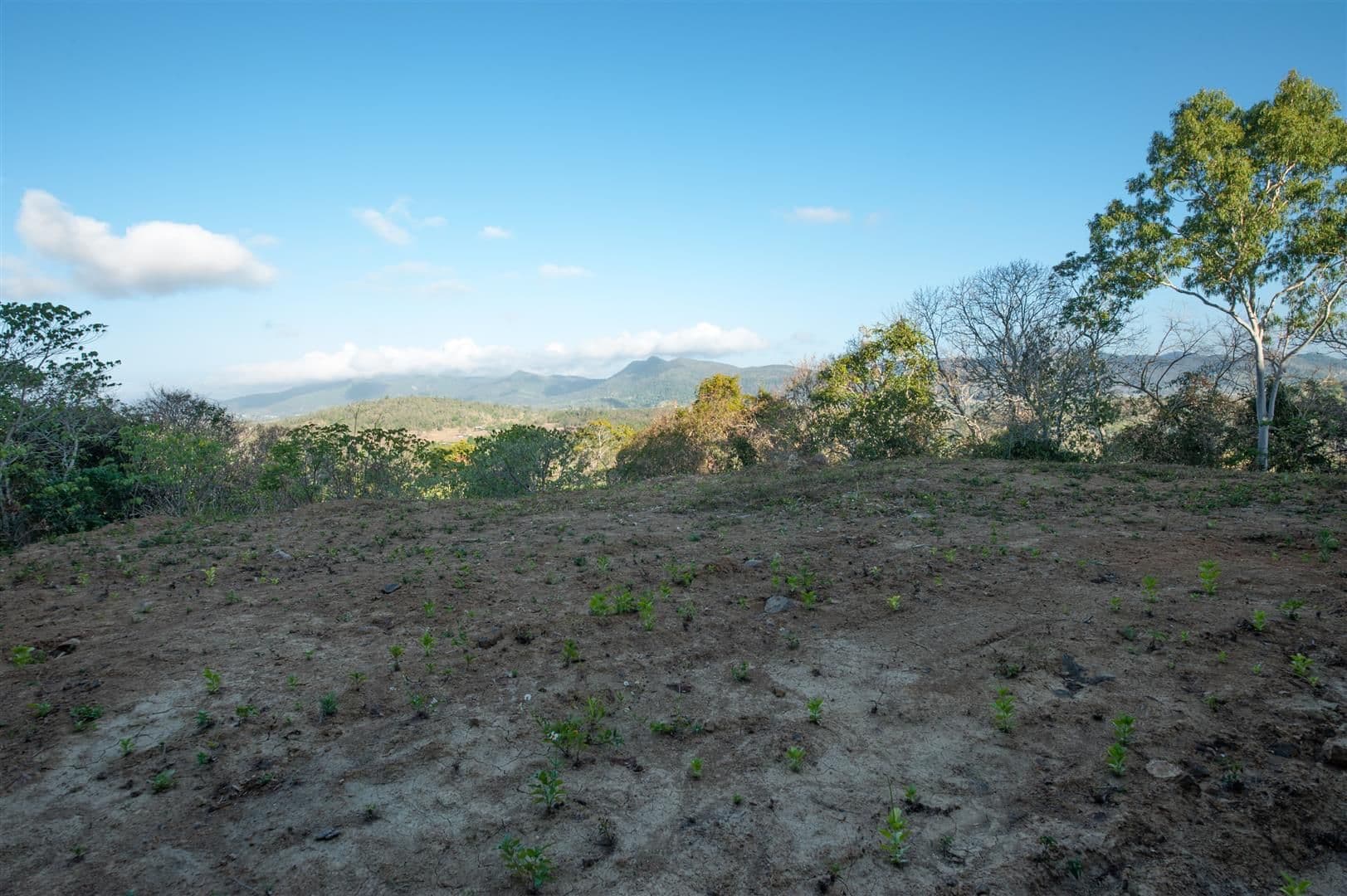 Lot 9 Rainforest Close, Sugarloaf QLD 4800, Sugarloaf - Image 1
