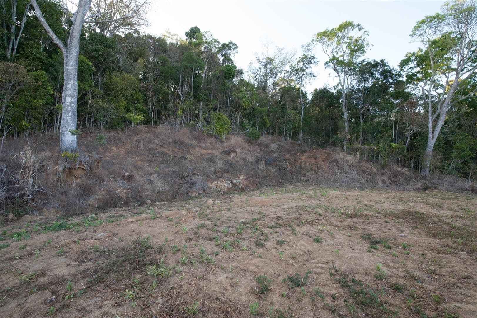 Lot 9 Rainforest Close, Sugarloaf QLD 4800, Sugarloaf - Thumbnail 3