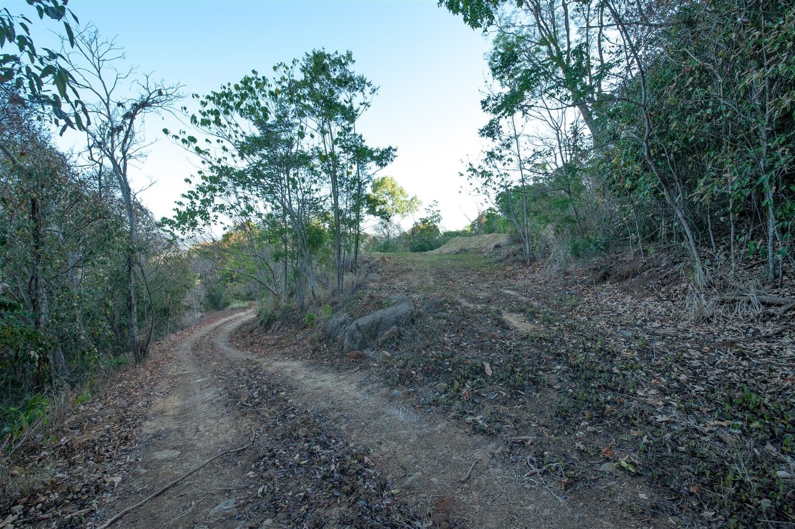Lot 9 Rainforest Close, Sugarloaf QLD 4800, Sugarloaf - Thumbnail 4