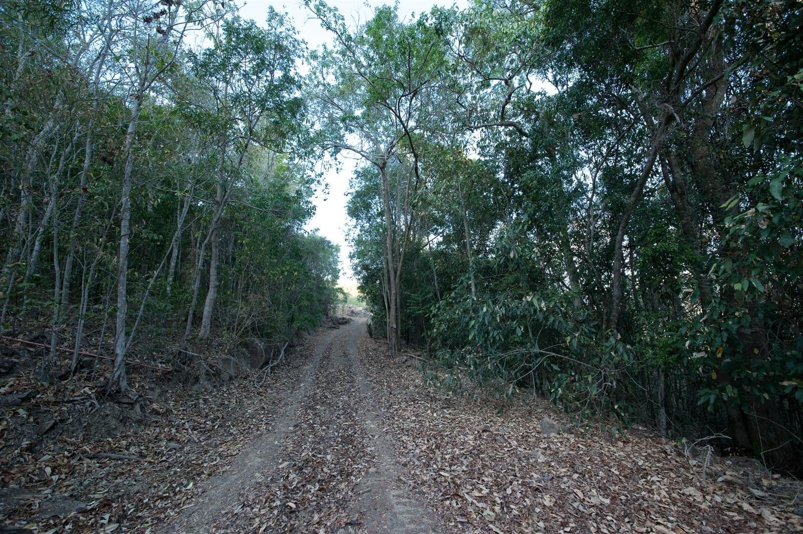 Lot 9 Rainforest Close, Sugarloaf QLD 4800, Sugarloaf - Thumbnail 5