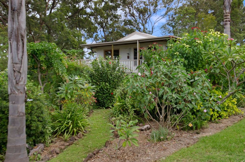 463 Trees Road, TALLEBUDGERA QLD 4228, Tallebudgera - Thumbnail 5