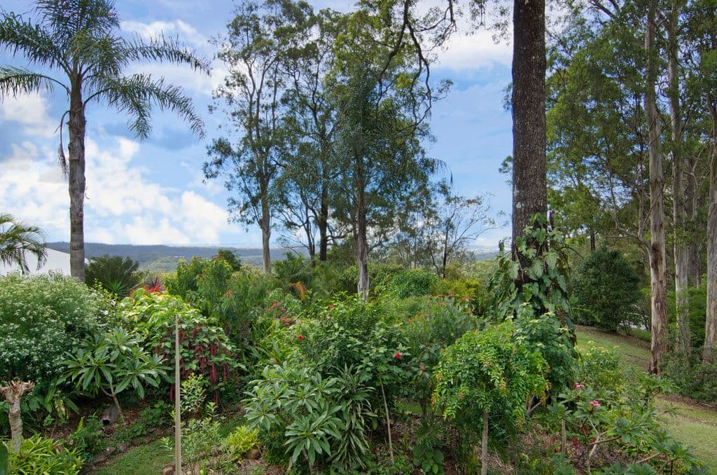 463 Trees Road, TALLEBUDGERA QLD 4228, Tallebudgera - Thumbnail 7