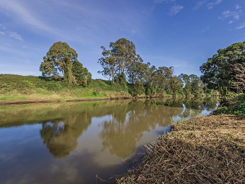 103 Tygum Road, Waterford West QLD 4133, Waterford West - Thumbnail 4