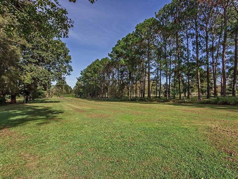 103 Tygum Road, Waterford West QLD 4133, Waterford West - Thumbnail 5