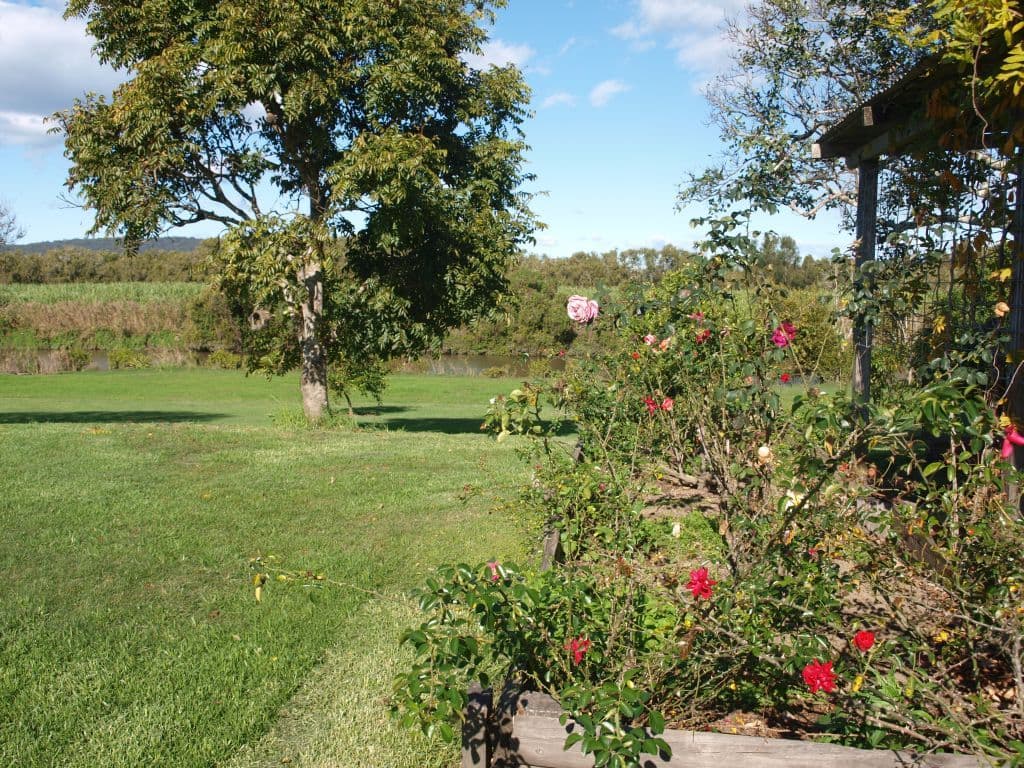 308 Kings Creek Road, Lawrence - Thumbnail 5