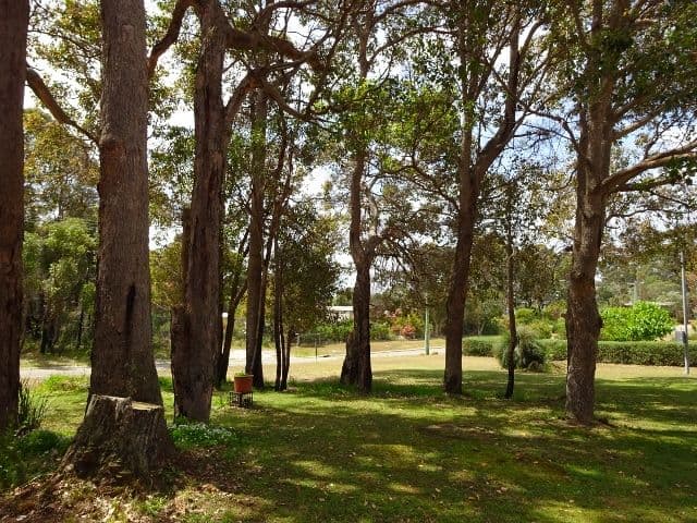 1 Blue Wren Lane, Denmark WA 6333, Denmark - Thumbnail 3