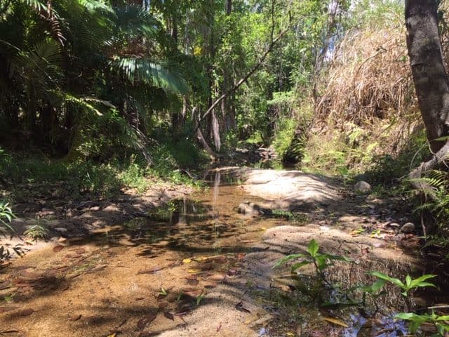 596 Gorge Road, Finch Hatton QLD 4756, Finch Hatton - Thumbnail 6