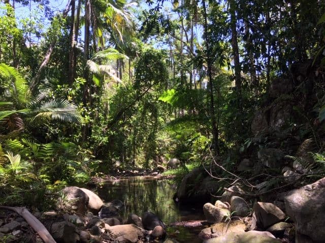 596 Gorge Road, Finch Hatton QLD 4756, Finch Hatton - Thumbnail 7