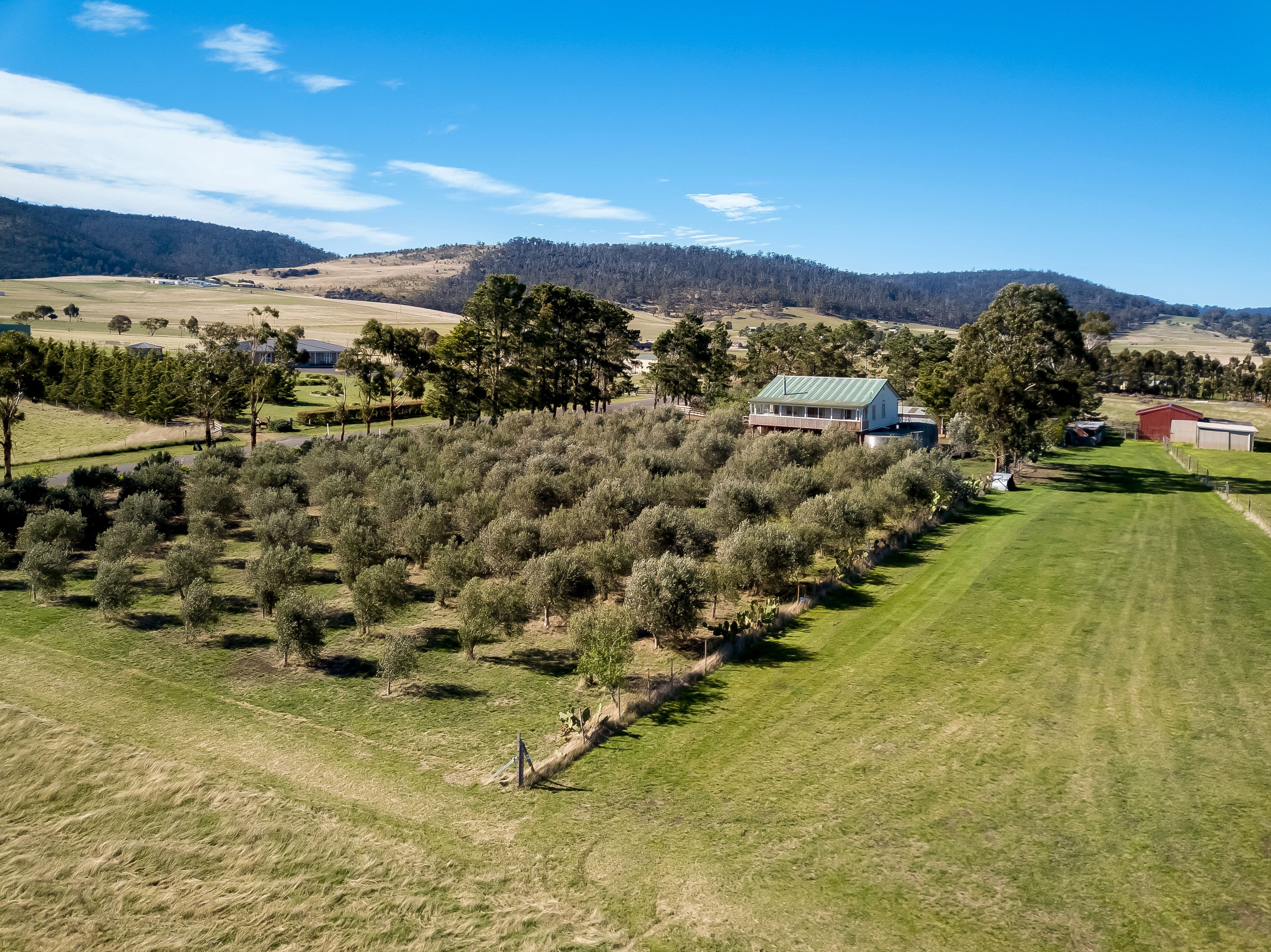 62 Greens Road, Orielton TAS 7172, Orielton - Image 1
