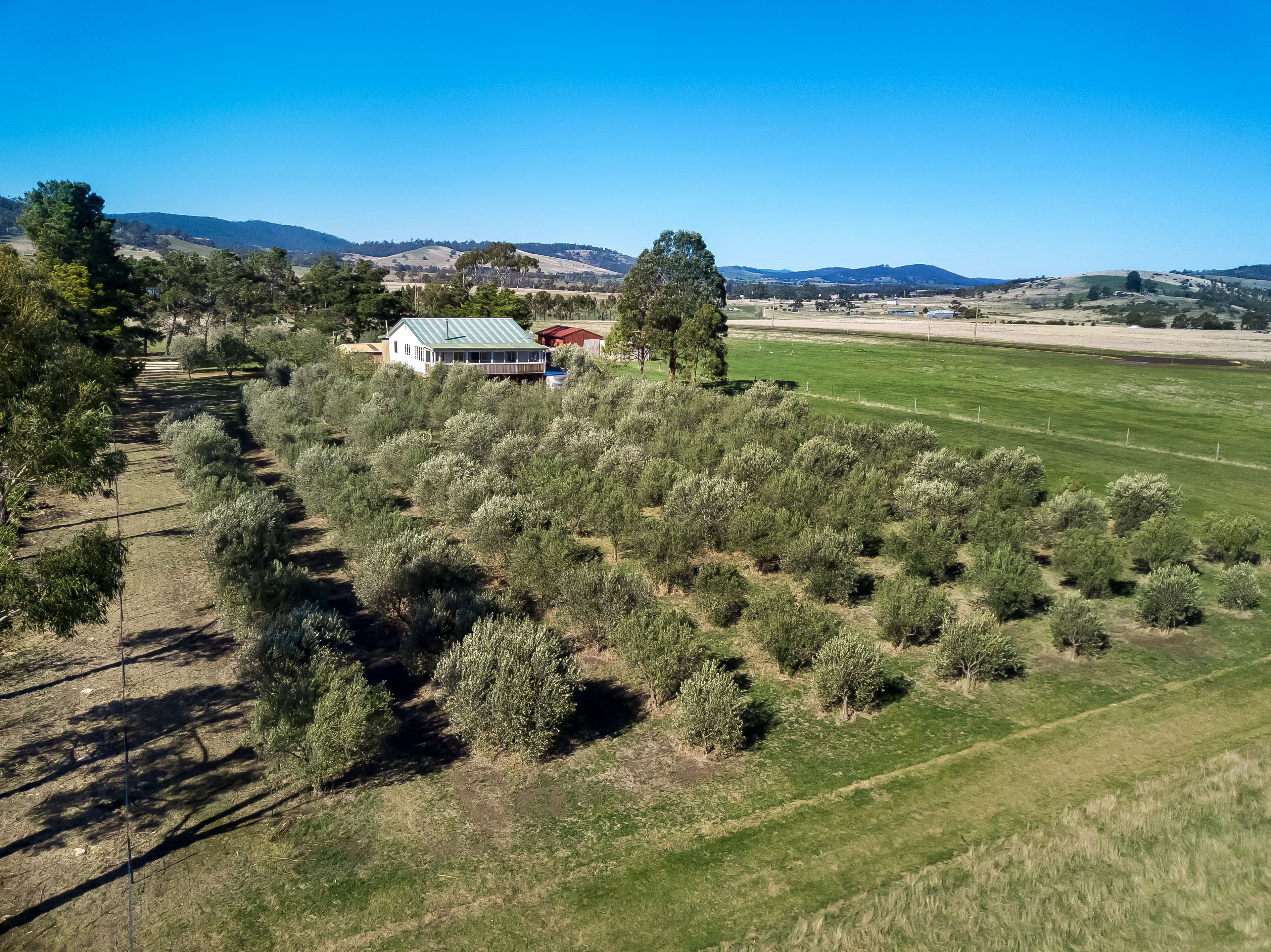 62 Greens Road, Orielton TAS 7172, Orielton - Thumbnail 5