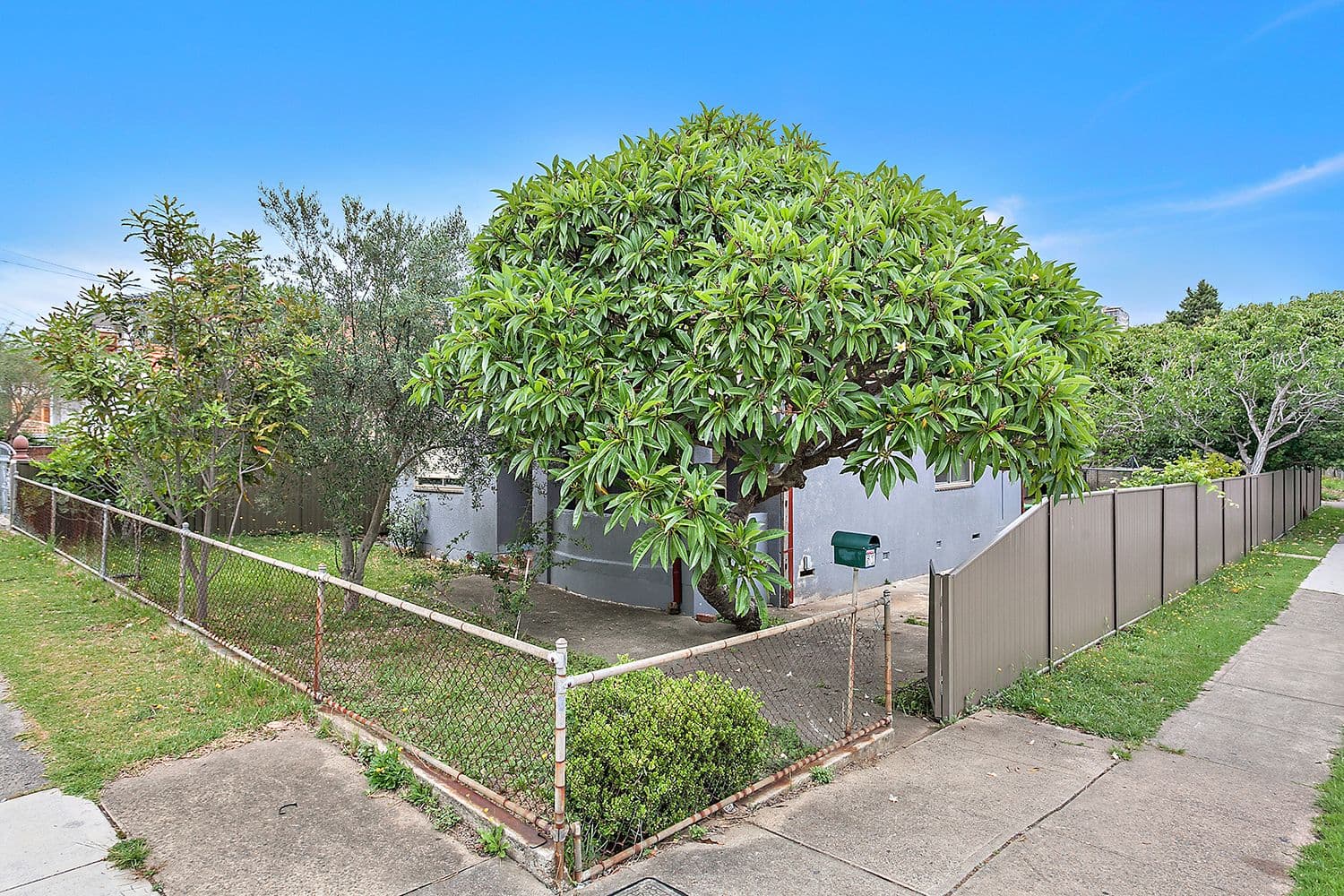 147 Mount Vincent Road, Mulbring, Mulbring - Thumbnail 3