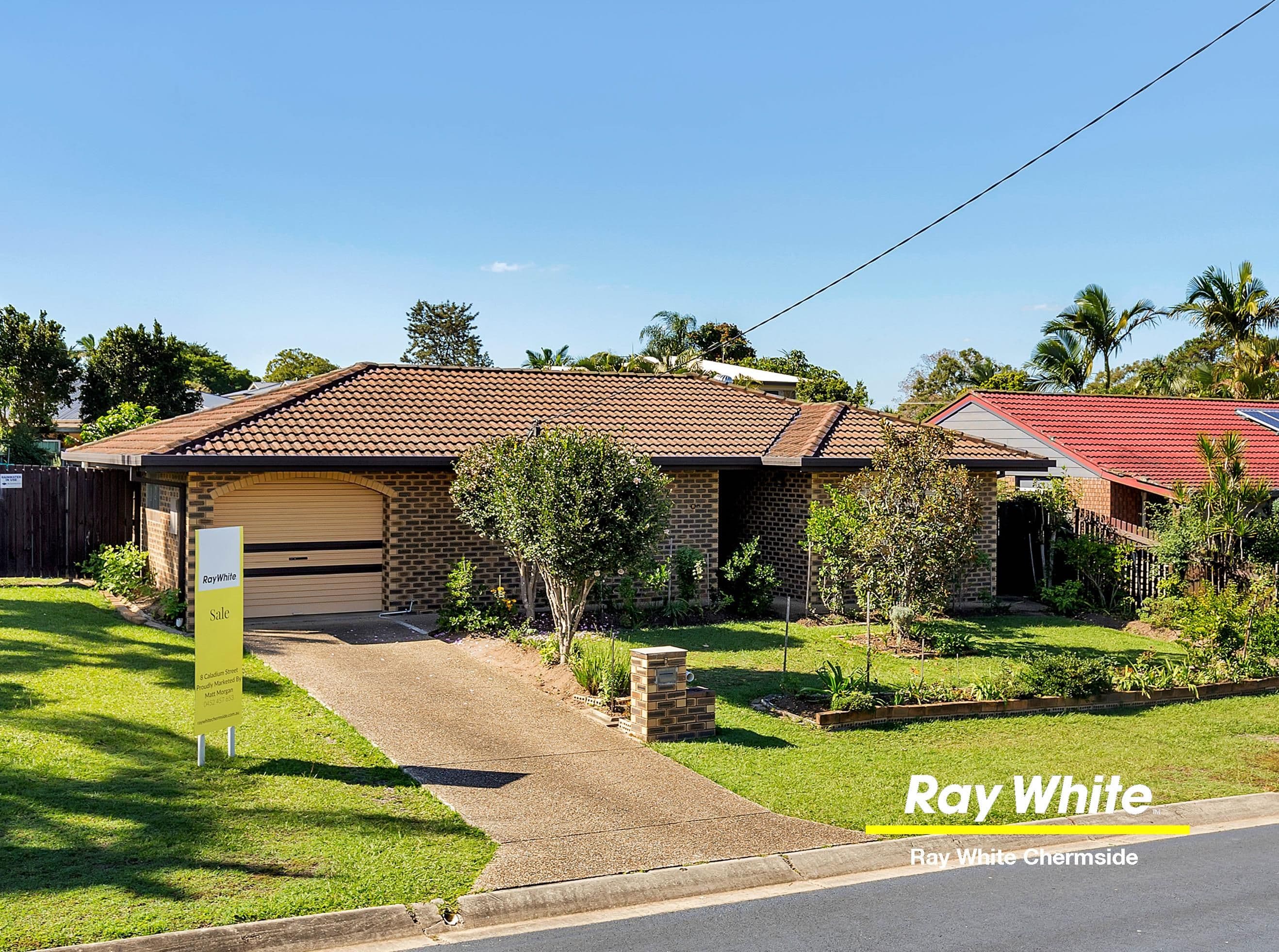 8 Caladium Street, Strathpine QLD 4500, Strathpine - Image 1