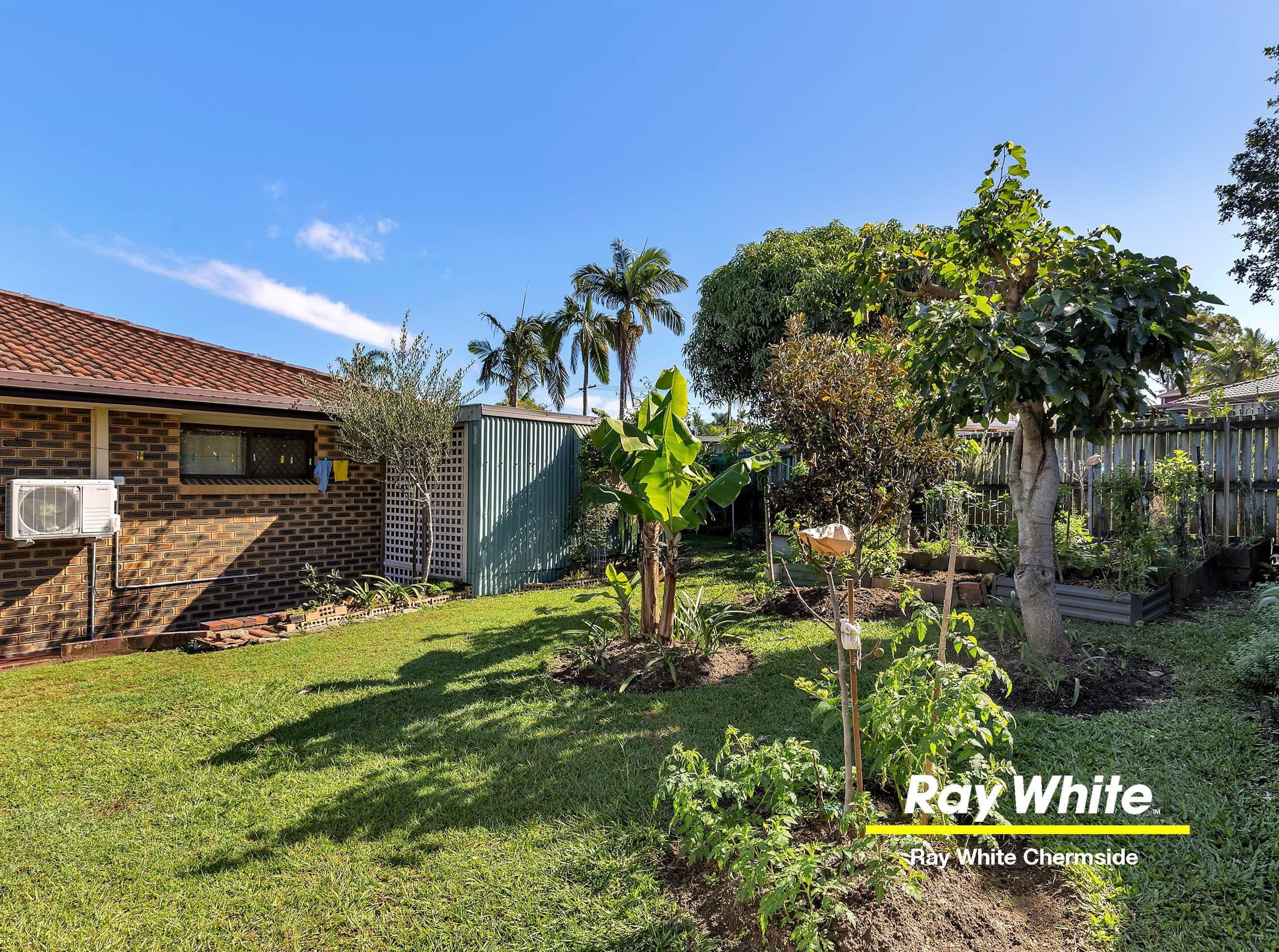 8 Caladium Street, Strathpine QLD 4500, Strathpine - Thumbnail 4