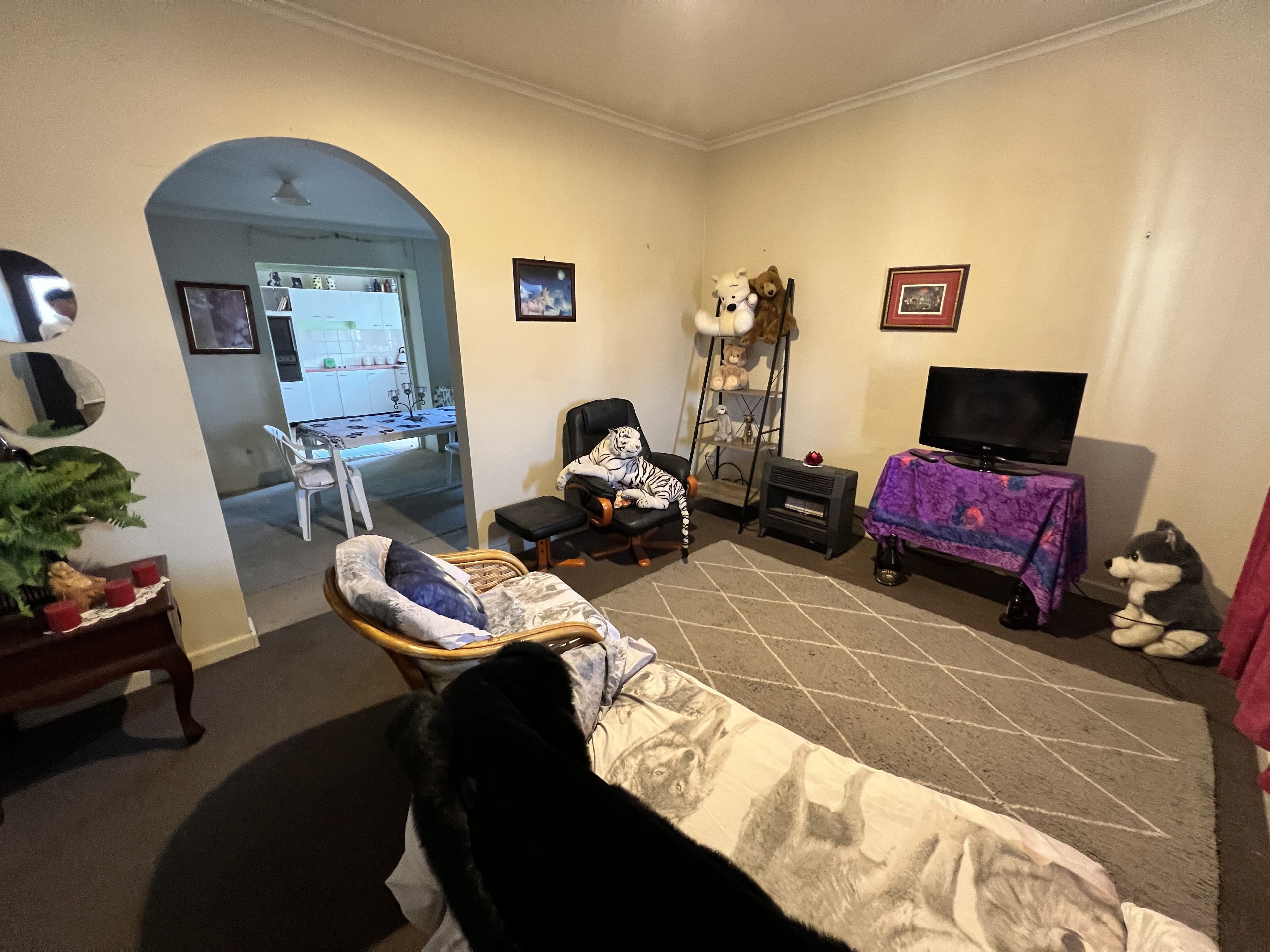 352 Williams Street, Broken Hill NSW 2880, Broken Hill - Thumbnail 3