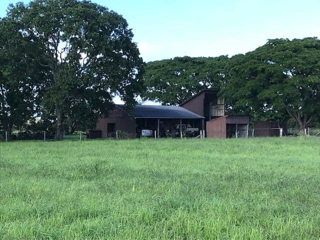 82 Raines Road, Sharon QLD 4670, Sharon - Image 1