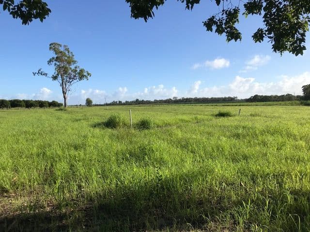 82 Raines Road, Sharon QLD 4670, Sharon - Thumbnail 4