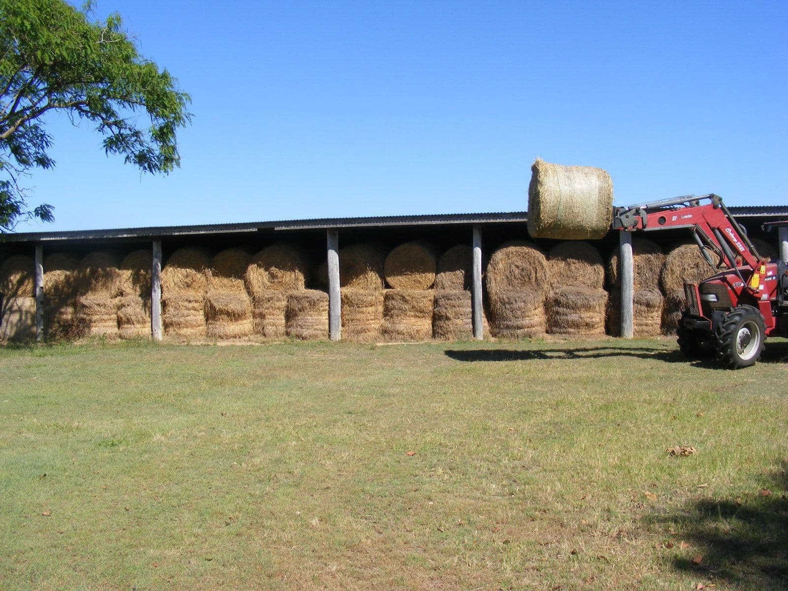 82 Raines Road, Sharon QLD 4670, Sharon - Thumbnail 5