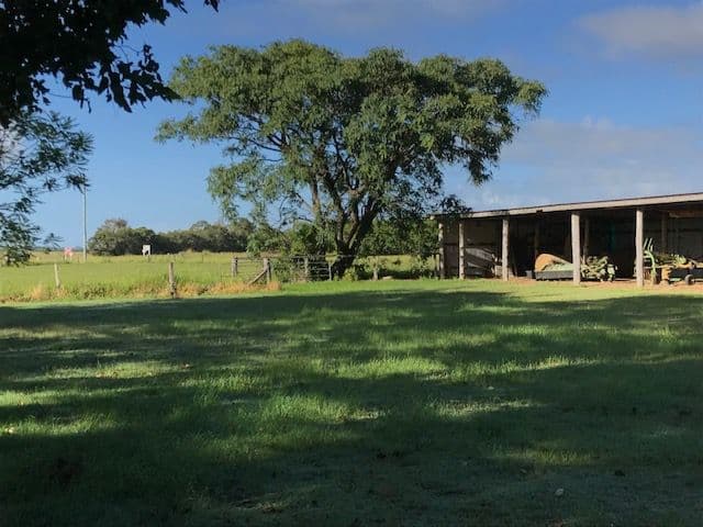 82 Raines Road, Sharon QLD 4670, Sharon - Thumbnail 8